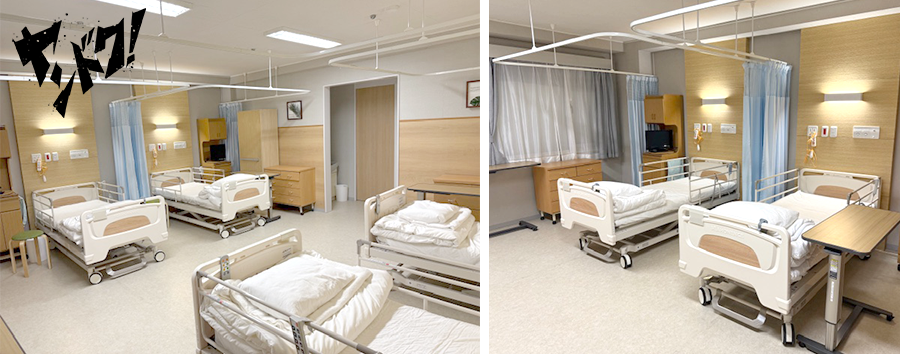 �t�W�e���r�n�E���T���j���21�������A�h���}�w�����h�N�I�x�a�������Z�b�g